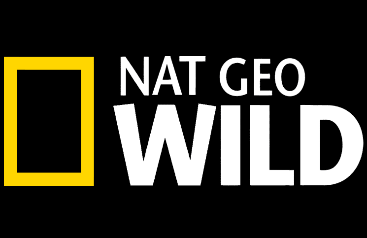 How to Watch Nat Geo Wild Outside US - Unblock It All
